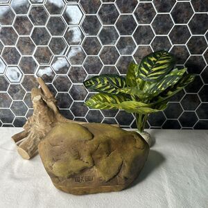 Exo Terra Small Gecko Cave With Driftwood And Plant